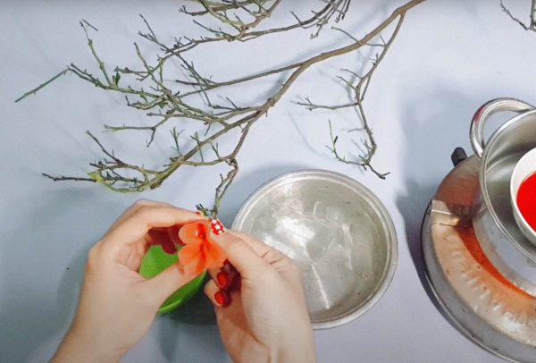 Bóp nhẹ phần cuống hoa