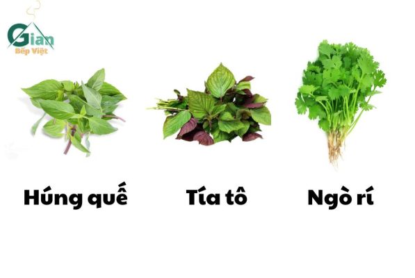 Húng quế - tía tô - ngò rí