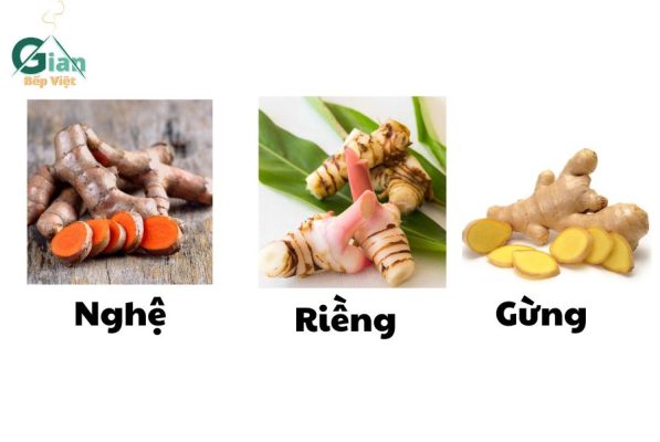 Nghệ - riềng - gừng